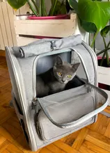 Bolsa de Gato transpirable para mascotas, cómoda y portátil, para exteriores, resistente al desgaste y duradera, plegable, para hombro