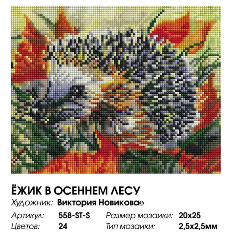 558-st-s_20x25-800x800