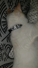 Collar de gato personalizado, con diamantes de imitación para cachorro, chihuahua, yorkshire, accesorios de nombre gratis para gatos, perro pequeño