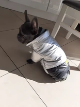 Coat Puppy Clothing Jacket Puppy-French-Bulldog Dogs Waterproof Chihuahua Winter Vest