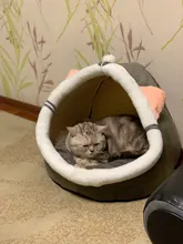 Cama de Gato para interior, casa de gatito, animales cálidos, pequeños para gatos, perros, nido plegable, alfombras para dormir, productos de invierno