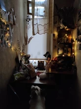 Tiny leaf garland fairy light decor LED Copper Wire string lights for Wedding forest