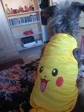 Nueva moda deportes ropa de perro T camisa traje Yorkshire Chihuahua cachorro Ropa para perros de verano perro gato camisa chaleco XS-XXL