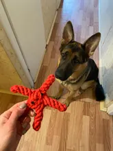 Pawstrip-Cuerda de juguetes para perro, resistente a las mordeduras, limpieza de dientes, juguete para masticar para perros, animales de dibujos animados, tienda de mascotas, 1 ud.