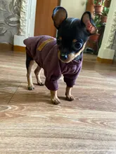 Clothing Sweater Pet-Outfit Small Dogs Classic Soft Winter For Dog Chihuahua Ropa Perro