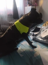 8 Size S-5XL Winter Dog Clothes For Pet Waterproof Warm Large Dog Vest Cat Puppy Dog