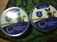 Collar que elimina pulgas y garrapatas para perros y gatos, repelente de mosquitos e insectos, Collar para gatos de pulga y garrapata de hasta 8 meses