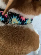 Collar para perro personalizado de nailon, con grabado impreso, identificativo, para cachorros, pequeños, medianos y grandes