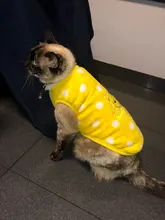 Ropa de Gato cálida para gatos Sphynx, abrigo de lana suave para gatito, chaquetas, disfraces de gato de dibujos animados, ropa para mascotas, Otoño e Invierno