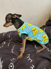 Camiseta de malla para gatos y cachorros, ropa bonita para mascotas, camiseta de dibujos animados de pato, chalecos informales para XS-XXL pequeñas