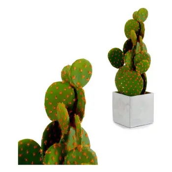 

Cactus Ibergarden (12 x 47 x 12 cm)