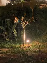 Solar-Spotlight Bright-Landscape IP65 Adjustable 6000k T-SUN 20LED Super