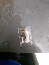 Lote de conectores de cadena de bolas Calotte de 4x7mm, componentes de conectores para joyería DIY, 100 unids/lote