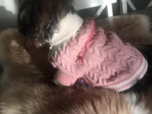 Sweater Puppy-Hoodie Dog-Jumper Winter Knited Small Cat with Cartoon-Design Warm Apparel