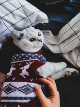 Cute Cat Sweater Costume Winter Warm Pet Clothes Cat Clothing for Cats Katten Kedi Giyim
