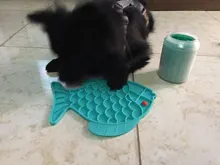 Tapete de silicona para alimentación de perro mascota, tapete para lamer comida de perro, tazón para cachorro, tapete de comida lenta, plato de lamer para aseo, suministros para mascotas