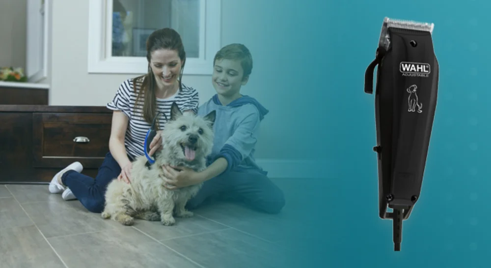 wahl basic pet clipper kit