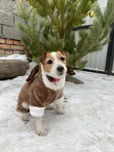 Pet-Dog-Clothes Jacket Puppy Coat Small Dogs Christmas Chihuahua Fleece Winter Warm Autumn
