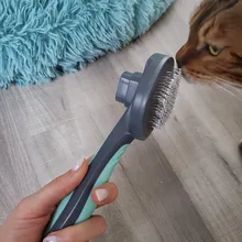 High Quality Pet Comb Self Cleaning Brush Professional Grooming Brush for Dogs and Cats