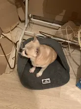 Dog-Bed House Products Pets-Cushion Slippers-Style Winter Cat Soft for High-Quality Pet-Dog