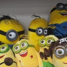 R***r