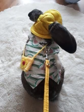 Accessory Hamster Animal-Harness Rabbit-Ferret Bunny Small Vest Leash-Set with Travel-Chest-Strap