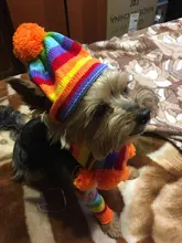 Pet-Puppy-Accessories Socks Hats Cat-Products Dogs-Knitted Small Chihuahua Little Winter