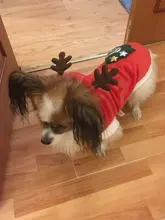 Christmas Dog Clothes Small Dogs Santa Costume for Pug Chihuahua Yorkshire Pet Cat Clothing