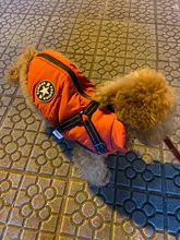 De invierno para mascotas ropa de perro francés mascota Bulldog cálido Chaleco con arnés abrigo perro ropa chaleco pequeño mediano para perros