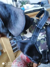 Perro suministros nailon mascota perros arnés Collar de Pet de alta calidad productos harnais pour chie para grandes Grande Mediano pequeño arnés de perro