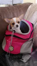 Mochila De viaje portátil plegable con doble hombro para mascotas, bolsa de transporte frontal de malla para perros y gatos