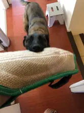 Dog Bite Sleeves Tugs Protection Arm Sleeve For Training Young Dogs Malinois Work Dog