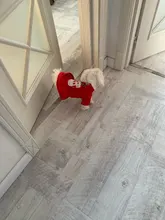 Costume Dog Shirt Dress Christmas Cat-Coat Couple for Small Cats Terrier Ropa Para Perro