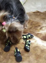 Boots Pet-Shoes Dog Large Waterproof Anti-Skid Small Winter Golden Warm Big 8-Sizes Wear-Resistant