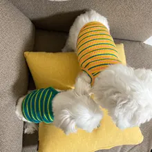 Camiseta a rayas con arcoíris para Perro, Ropa para cachorro, chaleco, camiseta de verano, Ropa para perros, novedad de 2020