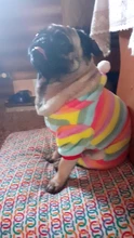 Mono para Perro suave y cálido, pijama de lana para mascotas, Ropa para perros, abrigo, chaqueta, Chihuahua, Yorkshire