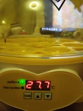 9-Eggs-Incubator Brooder Quail Chicken-Duck Manual Birds Mini Cute