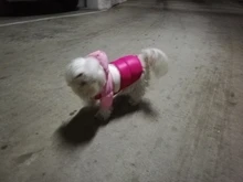 Outfit Jacket Hoodie Dog Warm Waterproof Winter Coat Splice Pet-Puppy 6-Colours 8-Sizes