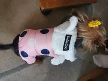 Dog Overalls Clothing Puppy Winter Coat Hoodie Pet-Dog Cotton Thicken Dot for Small Big-Polka-Dot