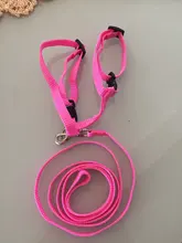 Arnés y correa para cachorros y gatitos, cinturón de tracción ajustable para animales, cuello Halter para gatos y gatitos, sin cartón