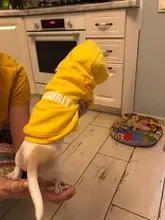 Seguridad ropa de perro clásico sudaderas con capucha para perro mascota ropa de perro otoño chaqueta de abrigo para perro Chihuahua cachorro ropa 10d3S1
