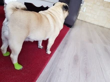 Elastic Bandage Tape Athletic-Wrap Sports-Protector Self-Adhesive Knee-Finger Colorful