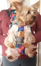 HOOPET Pet Dog Cat Carrier Bag Backpack Carring Bag Products for Dogs Anilmal Transport