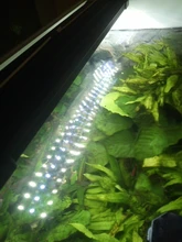 Led-Lighting-Lamp Dimmer Timer Fish-Tank-Light Aquarium Planted NICREW for 32-74cm 110V-240V