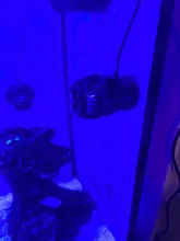 Coral-Cylinder Pump RW-4 RW-15 RW-8 Marine Aquarium SW15 SW8 Wave-Make SW4 Jebao/jecod