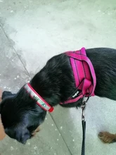 Arnés ajustable para perros medianos y grandes, chaleco reflectante de entrenamiento para caminar, sin tirones, para mascotas