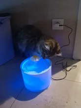 Container Dispenser Water-Level-Display Cats-Drink Dogs Automatic-Water-Feeder Electric