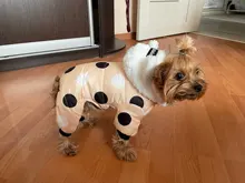 Dog Overalls Clothing Puppy Winter Coat Hoodie Pet-Dog Cotton Thicken Dot for Small Big-Polka-Dot