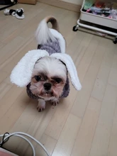 Cute Rabbit Design Dog Hoodie Winter Pet Dog Clothes For Dogs Coat Jacket Cotton Ropa