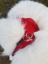 Truelove Pet Dog Harness Large Small For Pitbull Reflective Safety Harness For Dogs